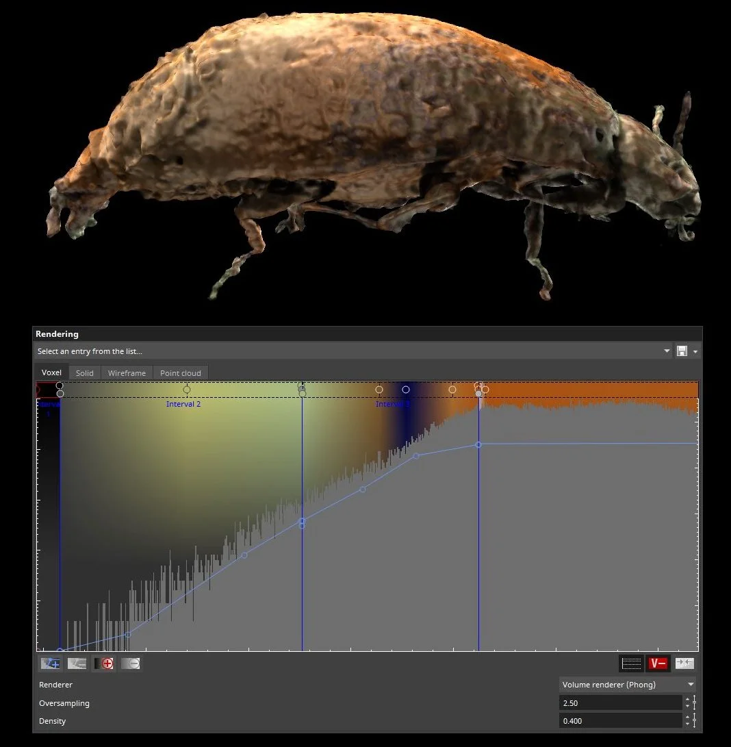 Visualization of a beetle with render settings