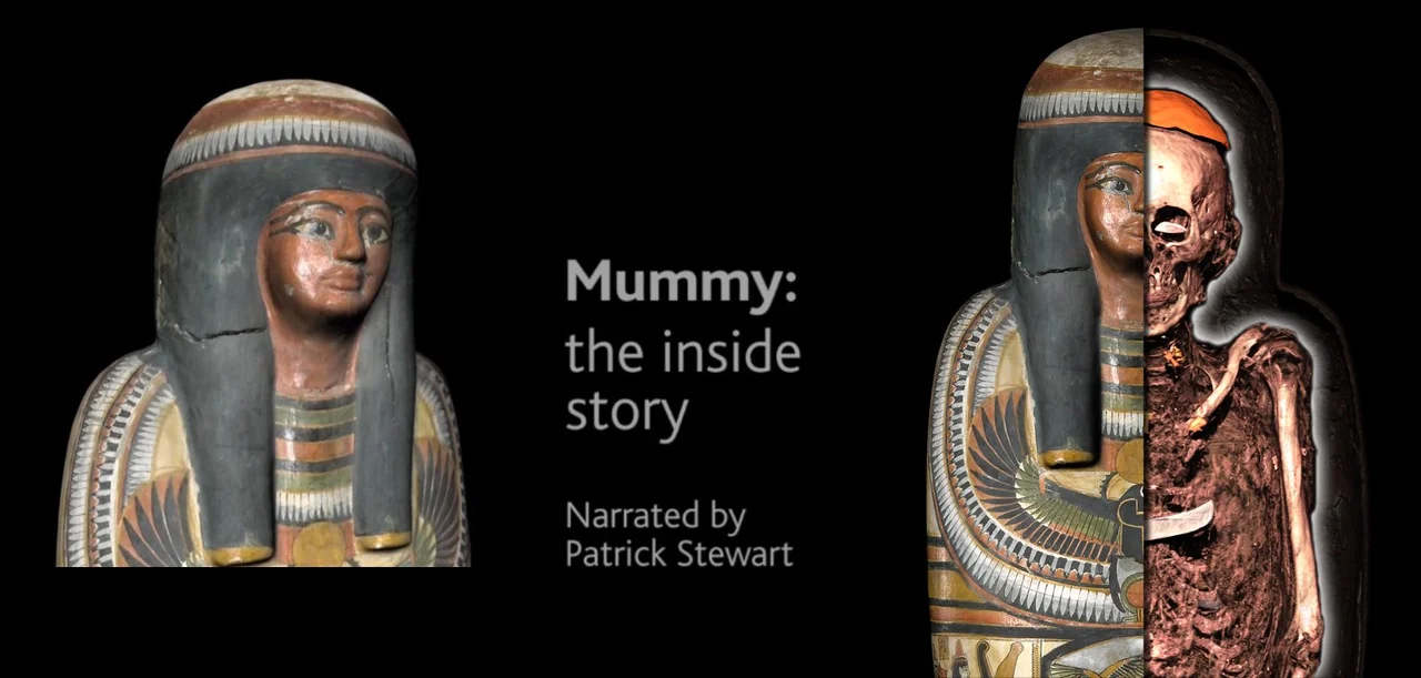 "Mummy: the inside story" by Benjamin Moreno