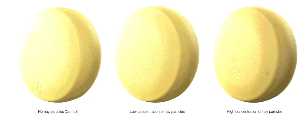 Visualization of hole formation in cheese affected by hay particle concentration