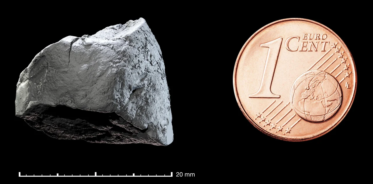 Coprolite's size compared to a 1-Euro-cent coin