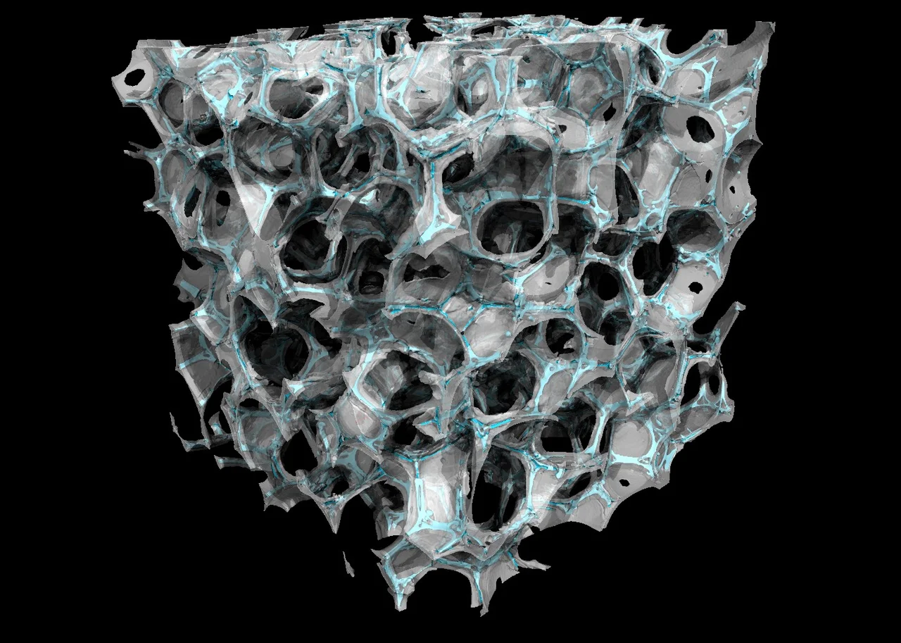 CT scan of a ceramic foam