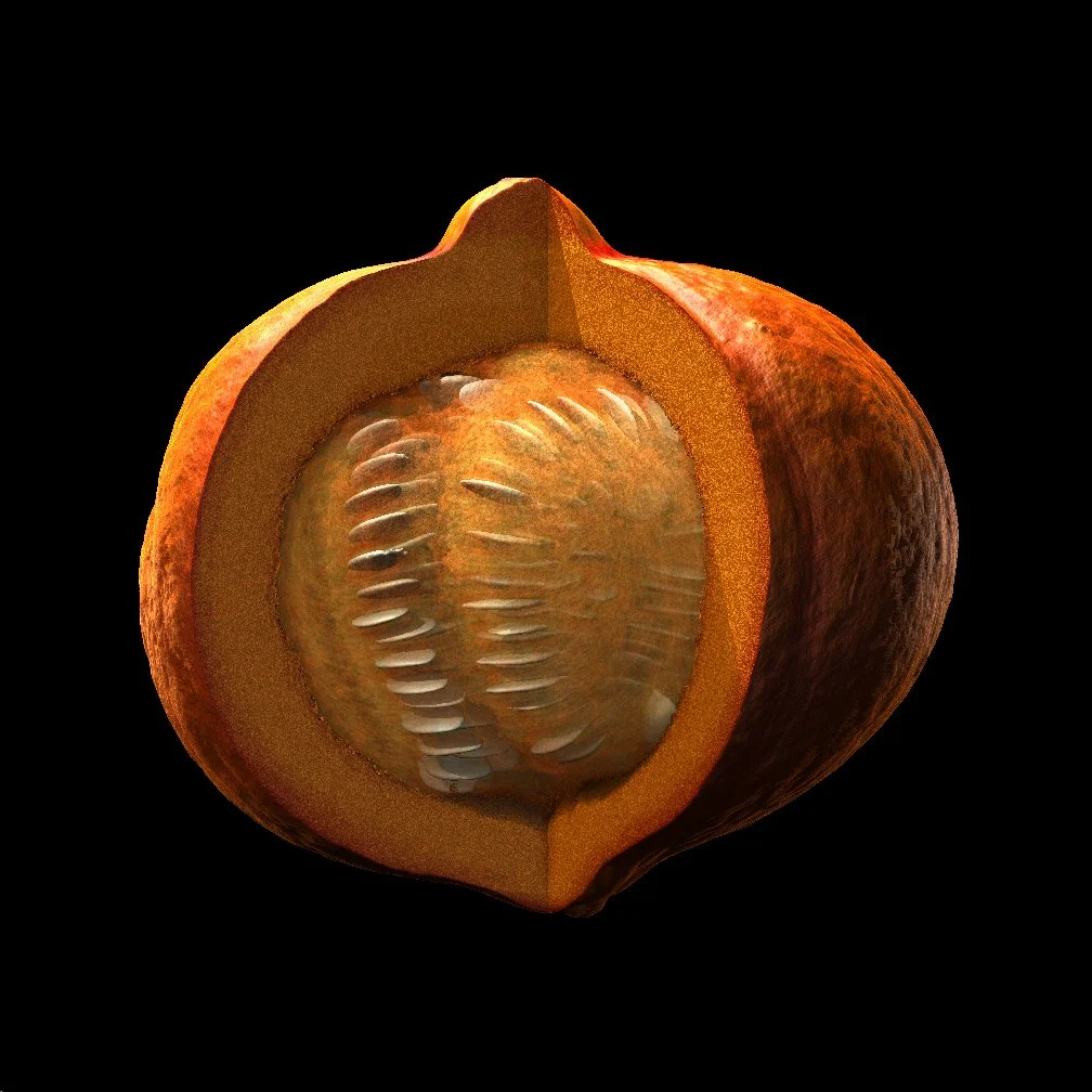 The pumpkin with partly peeled cork