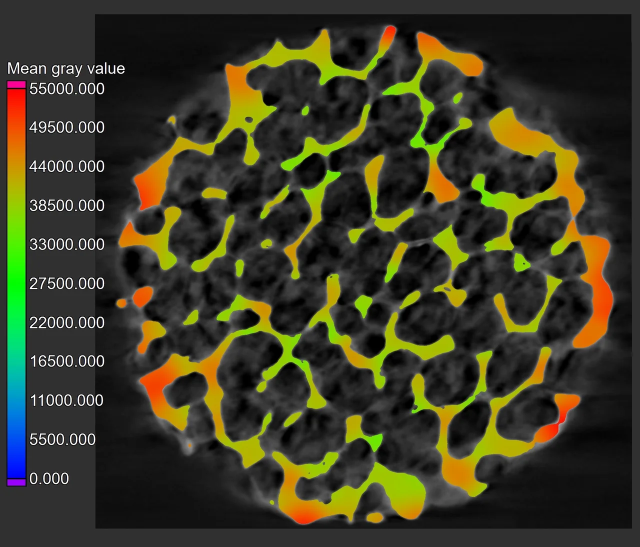 Gray value analysis results, color coded based on mean gray value; the colors appear consistent